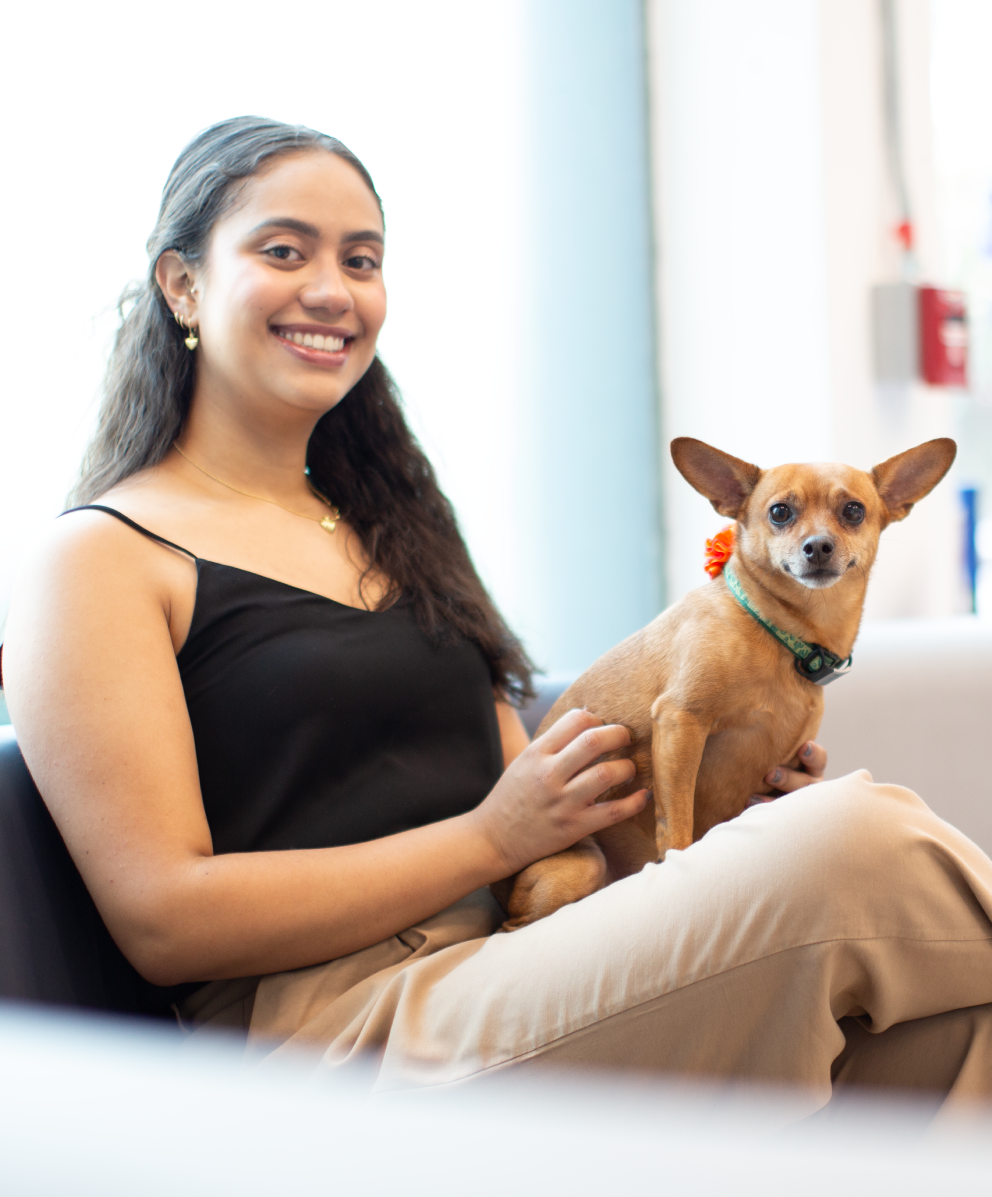 Perro en la sala de espera de la sede Bello, con el logo de Bivett al fondo